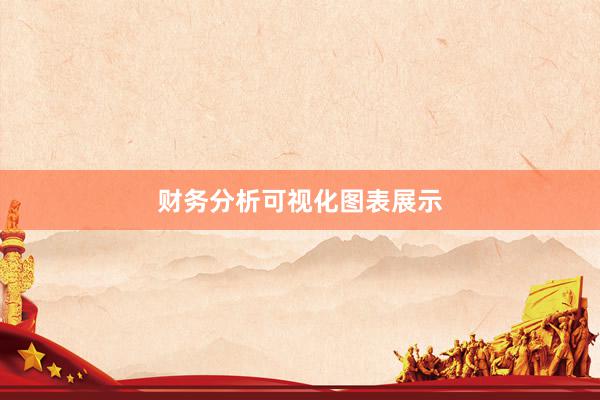 财务分析可视化图表展示
